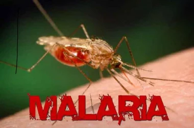 Еще один гражданин Молдовы умер от малярии