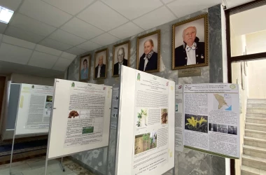 Более 200 научных исследователей из восьми стран мира собрались в Кишиневе