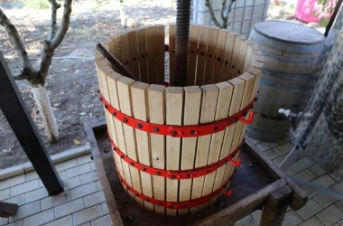 Activități de prevenire a intoxicațiilor cu dioxid de carbon în urma fermentării vinului