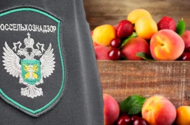 Reacția ANSA la noul embargo al Rusiei asupra fructelor și legumelor din Republica Moldova