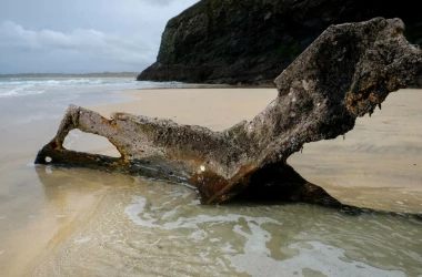 Descoperire veche de peste 130 de ani pe o plajă din Anglia