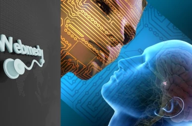 Попытки создать аналог человеческого мозга с помощью компьютерных технологий — это путь в никуда