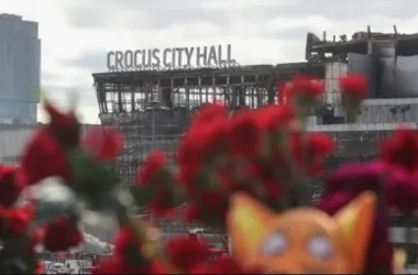 Теракт в Москве: Число погибших в «Крокус Сити Холле» возросло