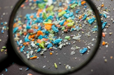 Вездесущий пластик: Частицы микропластика обнаружены там, где его быть не могло