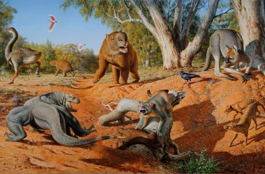 Новые находки останков ископаемых кенгуру-гигантов подтвердили гипотезы ученых