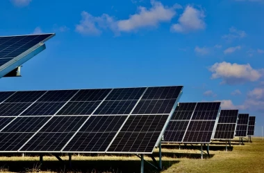 Un nou regulament cu privire la desfășurarea licitațiilor privind construcția parcurilor fotovoltaice și eoliene