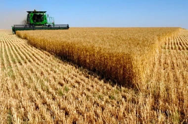 Subvenții pentru agricultori: Care este în prezent numărul beneficiarilor