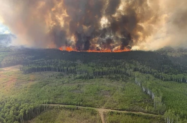 Arde tot în cale: Canada se confruntă cu incendii devastatoare