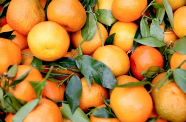 Brazilia va avea cea mai slabă recoltă de portocale din ultimele trei decenii