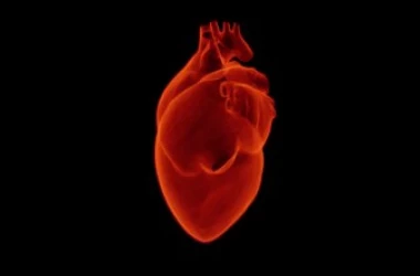 O treime din decesele cauzate de bolile cardiovasculare sînt rezultatul unei alimentații nesănătoase