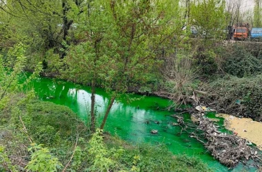  Apă unui rîu din Chișinău este verde. Explicația specialiștilor