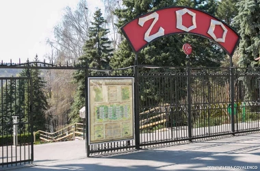  Intrarea la Grădina Zoologică din Chișinău va fi gratuită: Aflați cînd