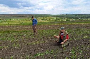 Un nou sit arheologic a fost descoperit într-un sat din Moldova