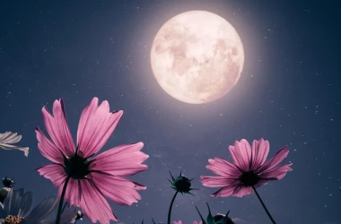 „Luna Florilor”: Un fenomen astronomic spectaculos va avea loc astăzi