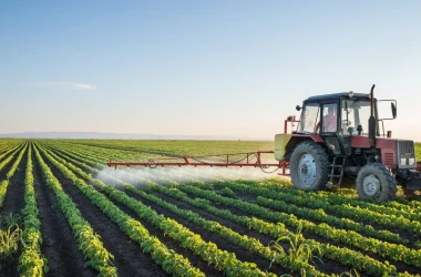 Criza secetei în Moldova: Asociația „Forța Fermierilor” cere intervenția urgentă a Guvernulu