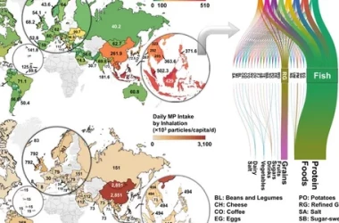 În ce țări oamenii consumă cele mai multe microplastice