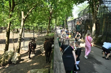 Сотни детей посетили сегодня столичный зоопарк