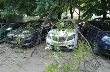 Какими некоторые водители в Бельцах нашли свои машины сегодня утром