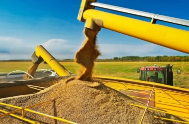 Россия объявила, что больше не продает зерно на европейском рынке 