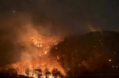 Autoritățile israeliene luptă cu incendiile de pădure