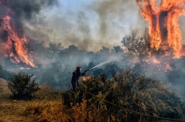 Din nou dezastru: Un incendiu puternic a izbucnit pe o insulă din Grecia
