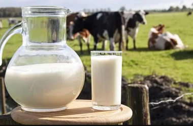 Consiliul Concurenței a desfășurat inspecții inopinate la producătorii de lapte