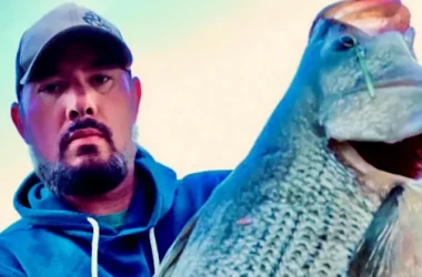 Captură neobișnuită: Un pescar a prins un biban uriaș