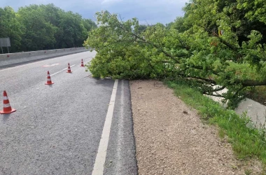 Vîntul și ploaia au provocat pagube pe mai multe sectoare de drum din țară