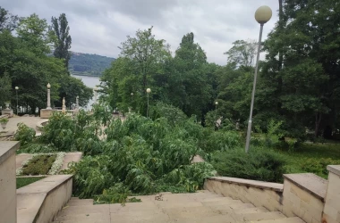 Cum arată un parc din capitală după furtuna de ieri