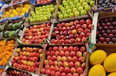 Noi posibilități de export pentru fructele moldovenești pe piața Marii Britanii