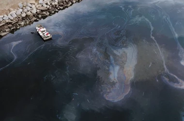 Catastrofă ecologică în Singapore: Ce substanțe au ajuns în mare 