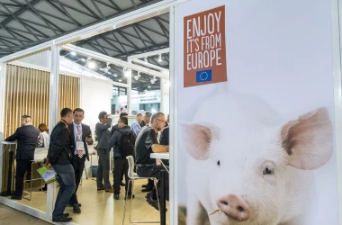 Китай начал антидемпинговое расследование в отношении свинины из ЕС