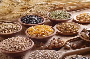 Comisia de licențiere a importului de cereale și oleaginoase își va înceta activitatea