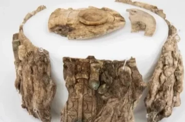 O cutie de fildeș găsită în urma unei săpături s-a dovedit a fi un artefact antic