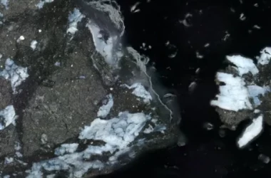 O mostră din asteroidul Bennu dezvăluie detalii despre trecutul sistemului solar