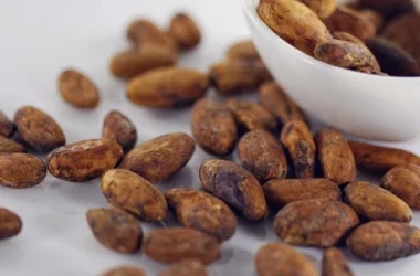 Vești proaste pentru iubitorii de ciocolată: ce au descoperit oamenii de știință în boabele de cacao
