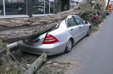 Poliția a atenționat cetățenii să evite deplasările: Există riscul ca în unele zone să cadă crengi sau arbori