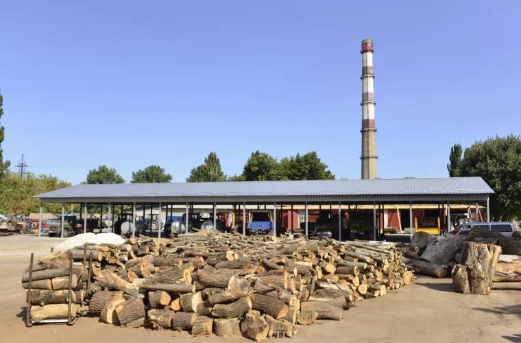 Cîteva sute de familii din Chișinău vor primi lemne de foc din partea primăriei