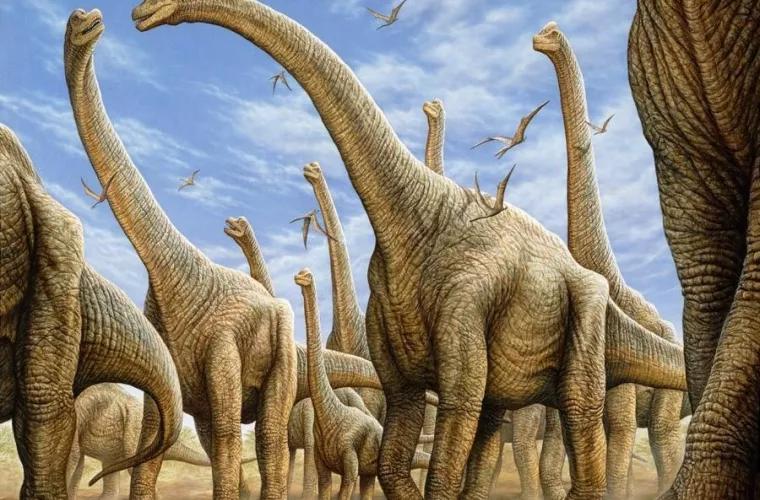 În Patagonia a fost descoperit cel mai mare dinozaur găsit vreodată