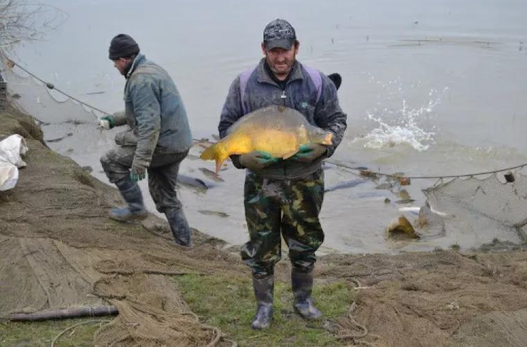 Молдавские рыбоводы – о законопроекте Слусаря: «Это ведет к катастрофе»