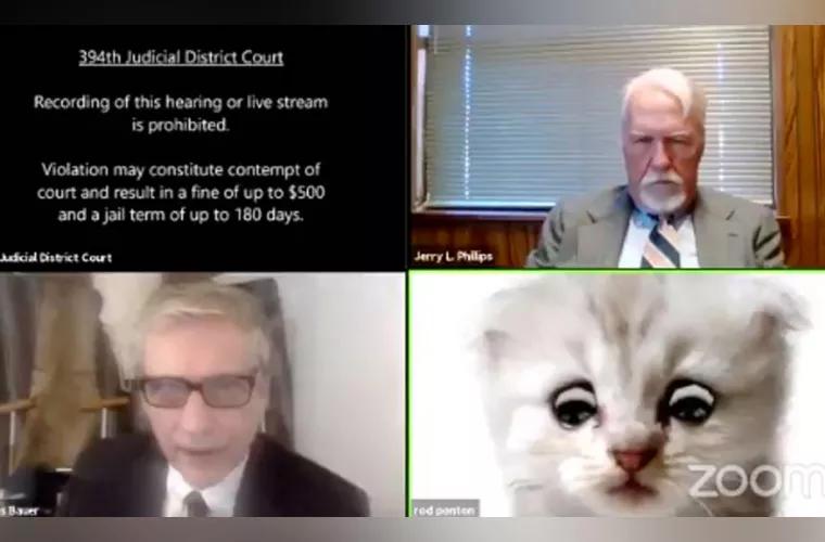 Haz de necaz: Un avocat, "transformat" în pisică, într-o transmisiune pe Zoom
