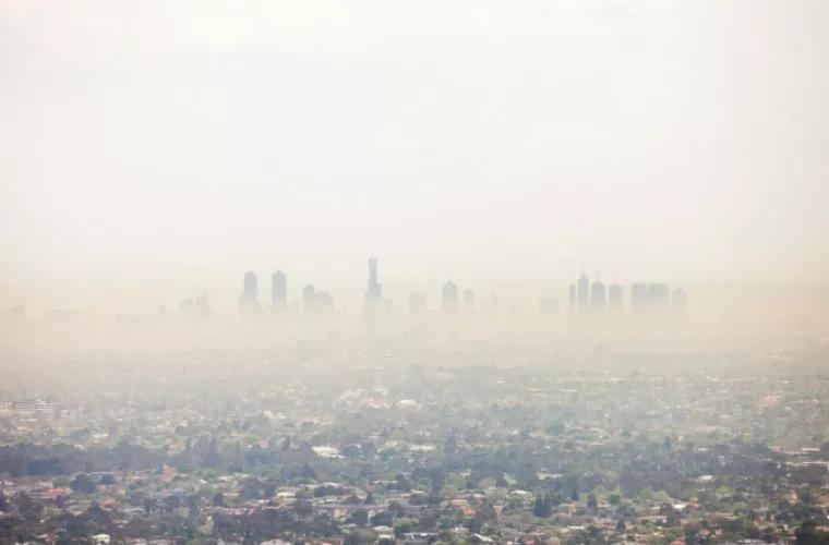 Greenpeace привела данные о смертности из-за загрязнения воздуха в 2020 году