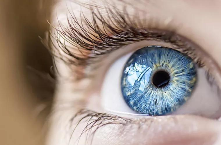 Oamenii de știință au dezvoltat o retină cibernetică care va ajuta nevăzătorii să vadă