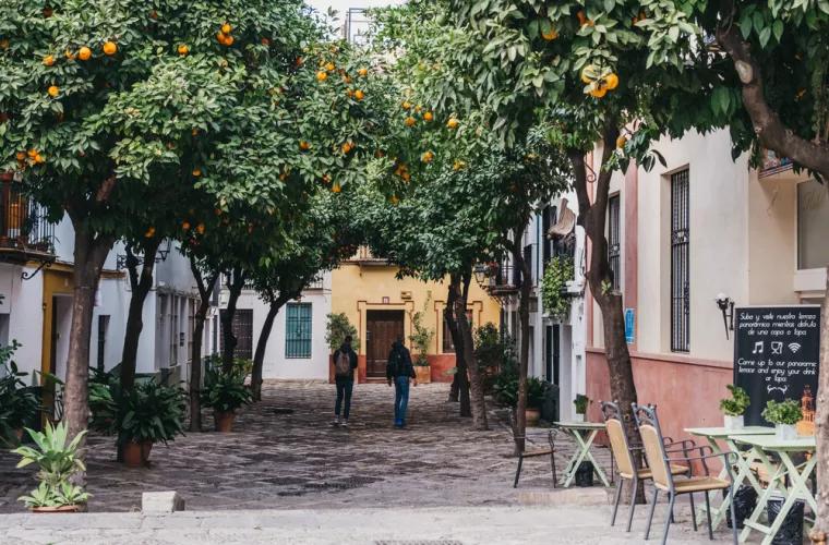 Autobuzele din Sevilla vor circula cu energie obținută din portocale