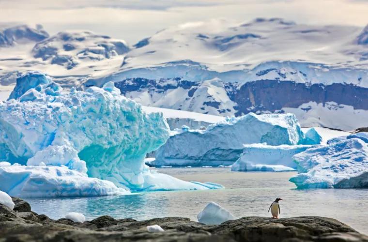 Antarctica intră în colaps, unul din efectele dramatice ale încălzirii globale