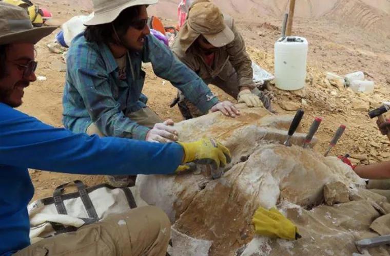 Rămăşiţele unui dinozaur erbivor, descoperite de cercetători în cel mai arid loc de pe Pămînt