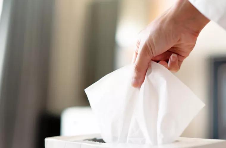 Бумажные полотенца опасны для здоровья