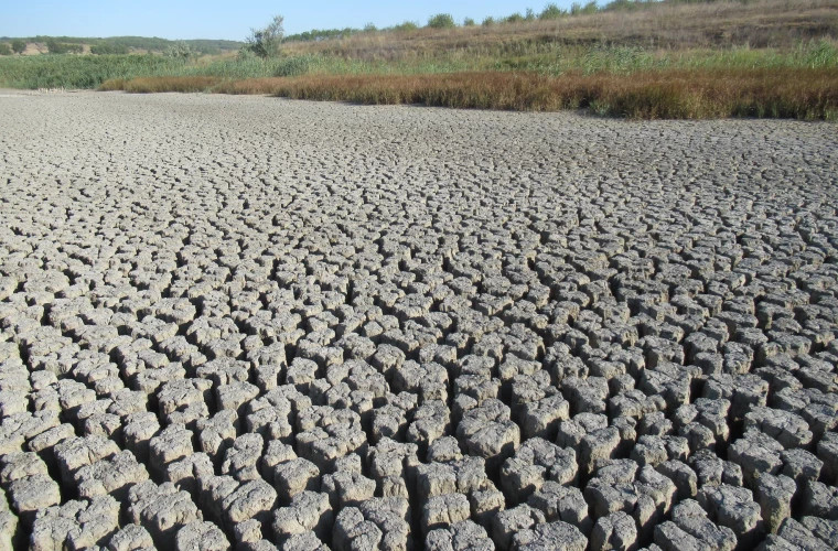 Экологи: &quot;Без леса и дождей Молдова рискует превратиться в пустыню&quot;