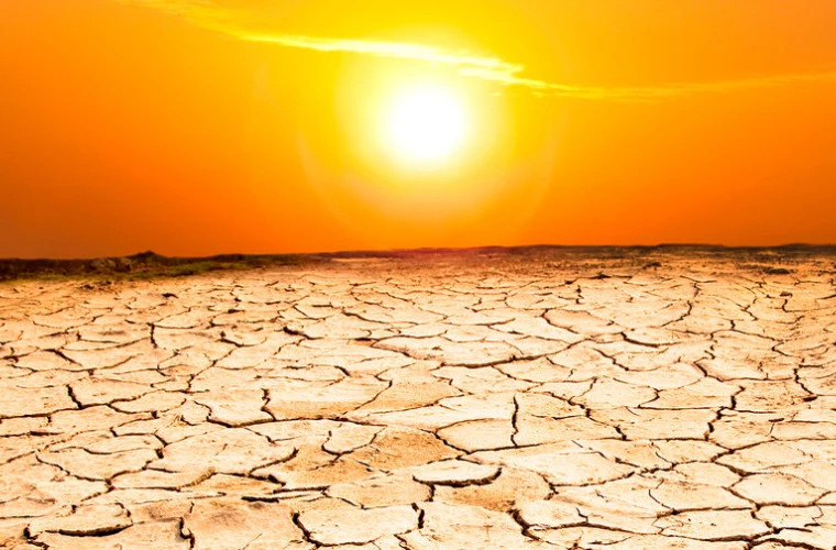 Более трети всех смертей от жары в мире вызваны глобальным потеплением