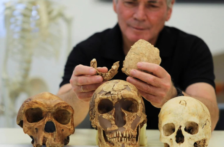 В Израиле обнаружили ранее неизвестный тип древнего человека